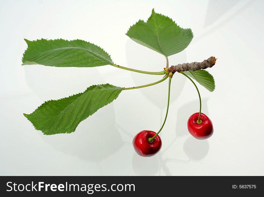 Green Sprig With Cherries