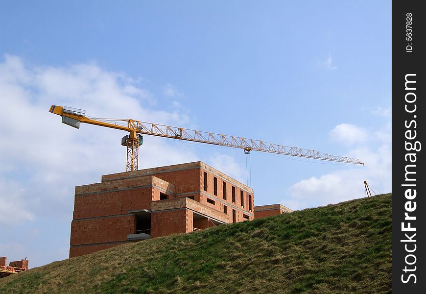 Building and elevating crane