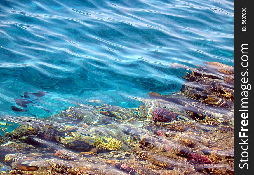 Coral Sandbank In Bay Sharm-el-Maya