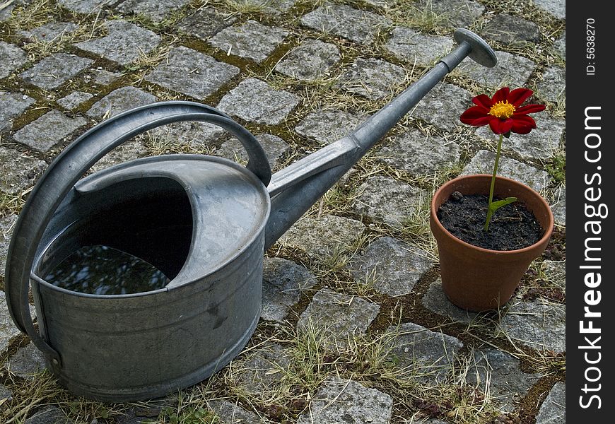 Red flower in a pot with a ewer placed on granite pavement. Red flower in a pot with a ewer placed on granite pavement