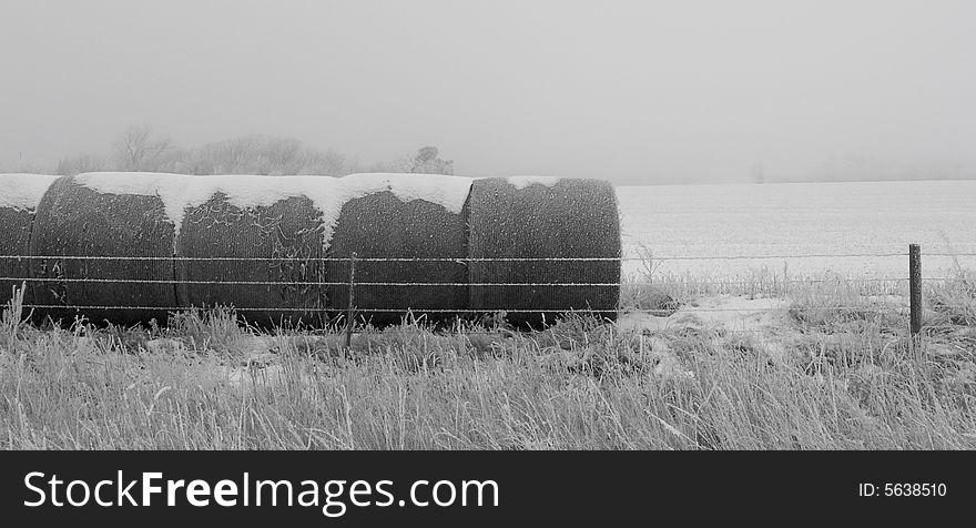 Hay bales on a frosty and foggy winter morning in rural South Dakota. Hay bales on a frosty and foggy winter morning in rural South Dakota.