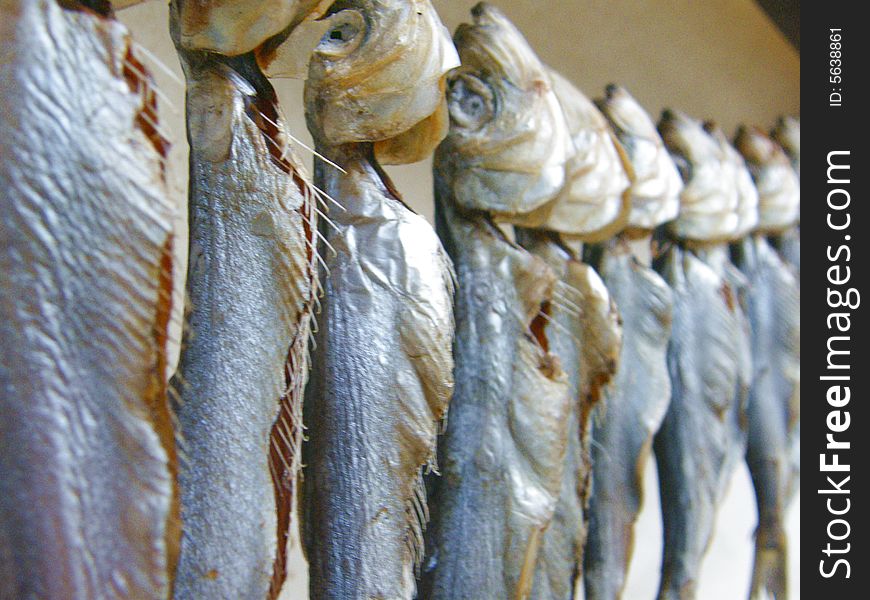The fish which to be dried on a cord