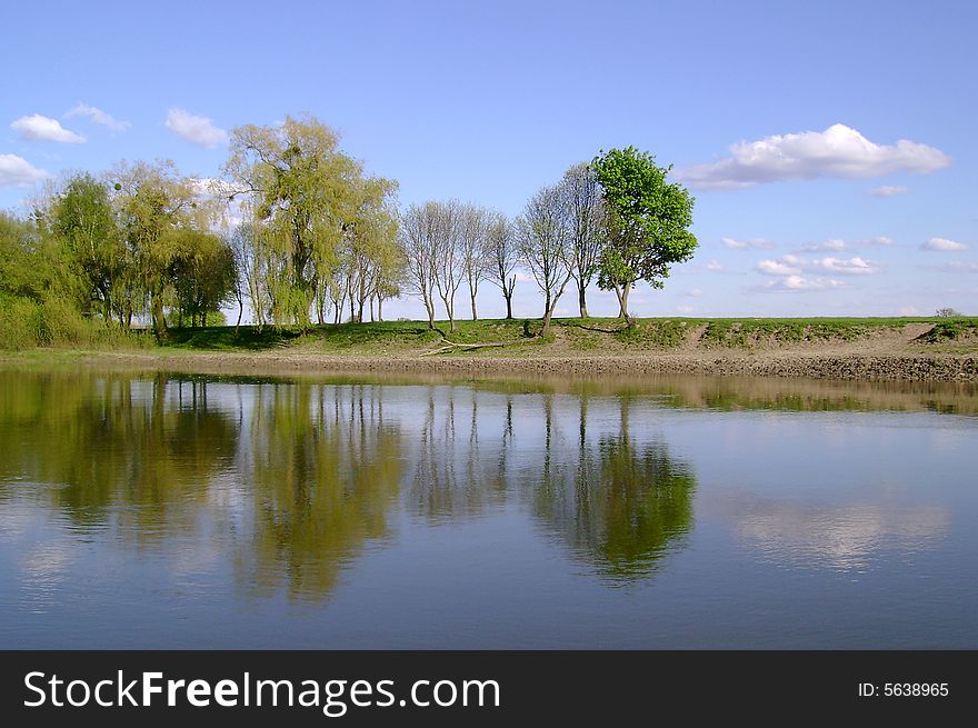 Reflection of trees in the river in spring