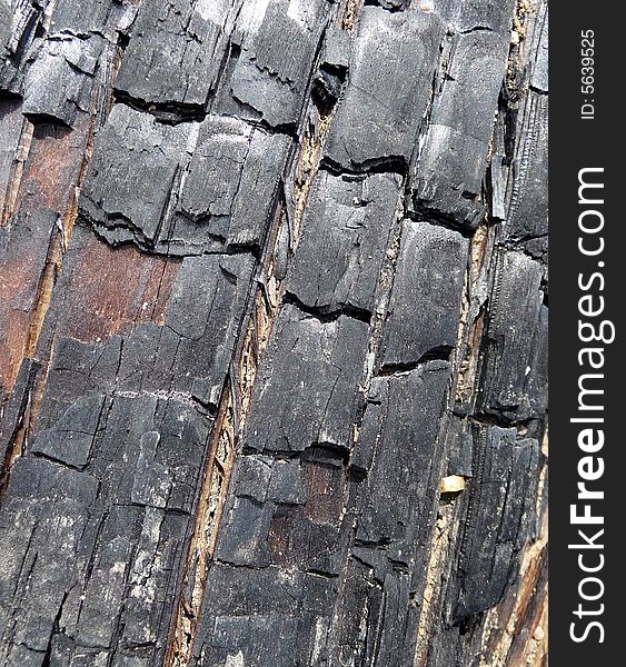 A close up photograph of some brunt tree bark. A close up photograph of some brunt tree bark.