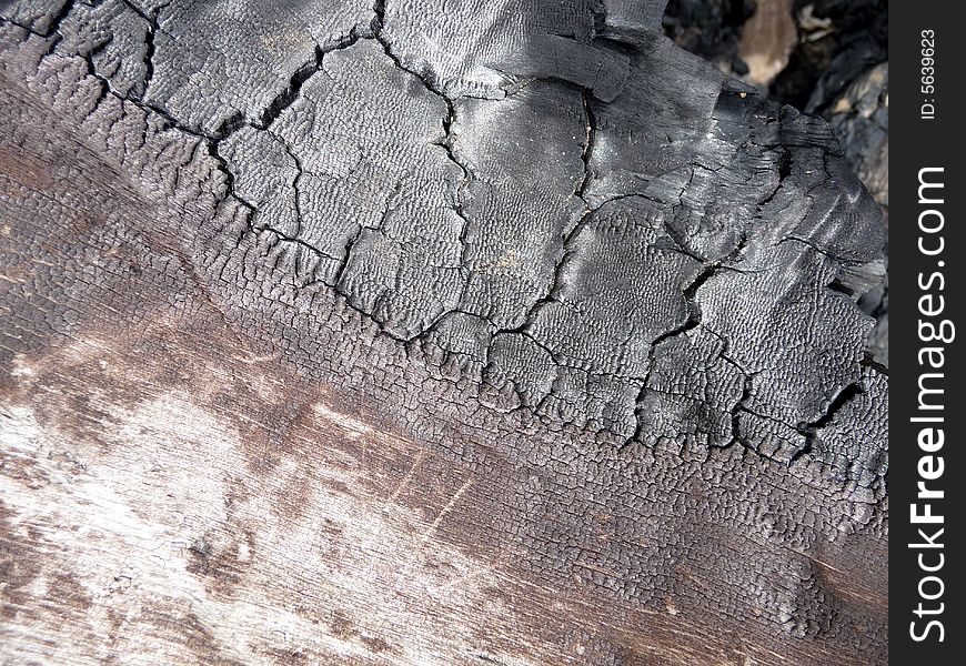 A close up photograph of some brunt tree bark. A close up photograph of some brunt tree bark.