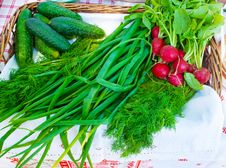 Green Onions, Radishes And Cucumbers On A Table Stock Photo Green Onions, Radishes And Cucumbers On A Table Stock Photo
