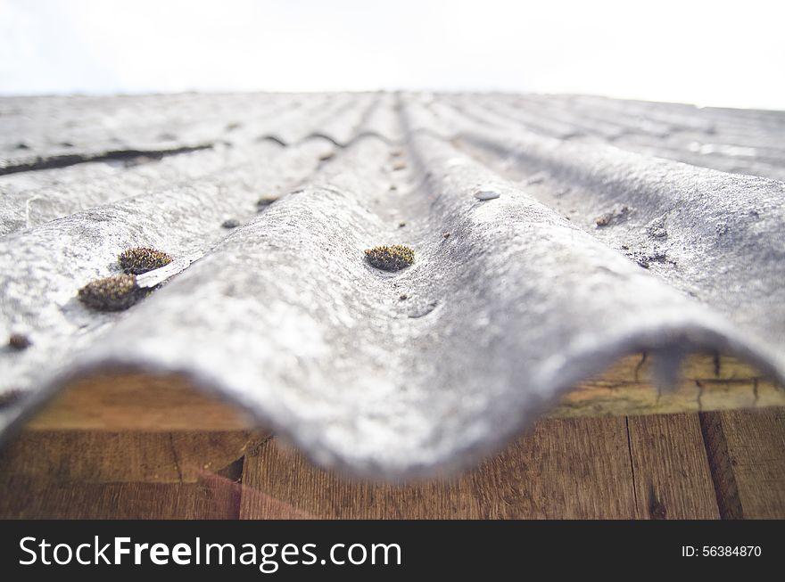 Roof into the sky, more than one year saves from rain and snow, but takes its time