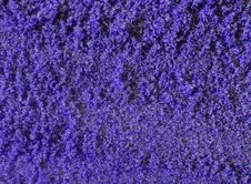 Purple Sand Background Stock Photography Purple Sand Background Stock Photography