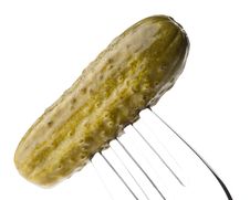 Pickled Gherkins Royalty Free Stock Image Pickled Gherkins Royalty Free Stock Image