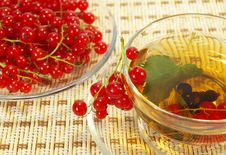 Currant And Tea In A Transparent Cup Stock Photos