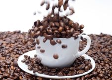 Coffee Beans Falling Into The Cup Royalty Free Stock Photos Coffee Beans Falling Into The Cup Royalty Free Stock Photos