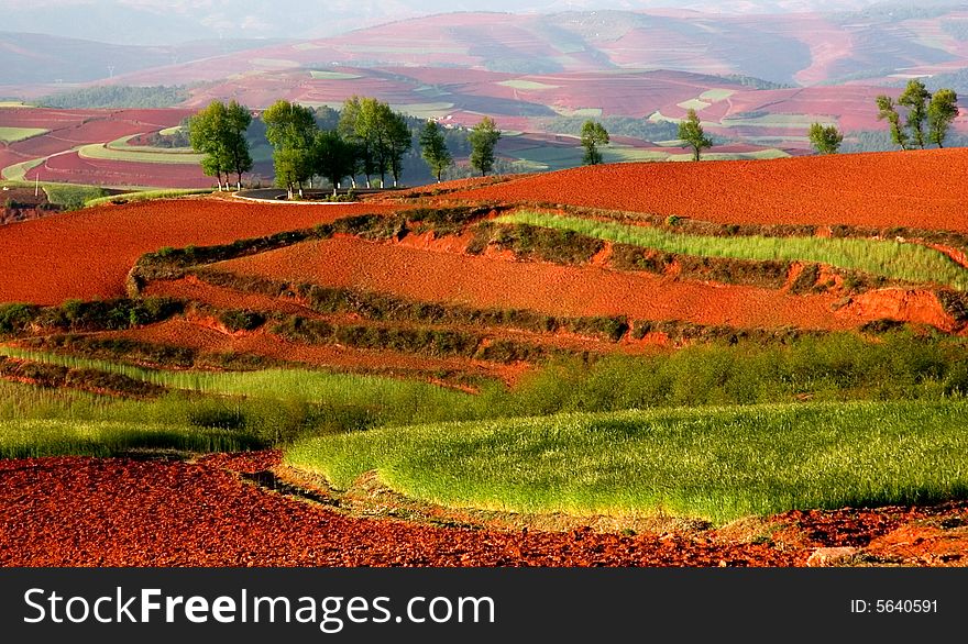 Red Land in Yunnan Province, southwest of China. Red Land in Yunnan Province, southwest of China.