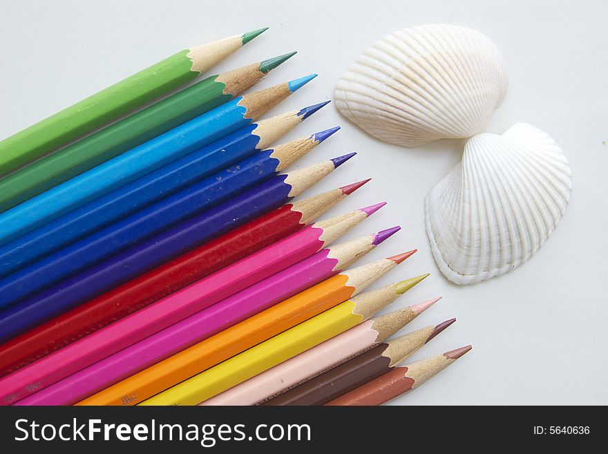 Two shells are beside the colour pencils. Two shells are beside the colour pencils