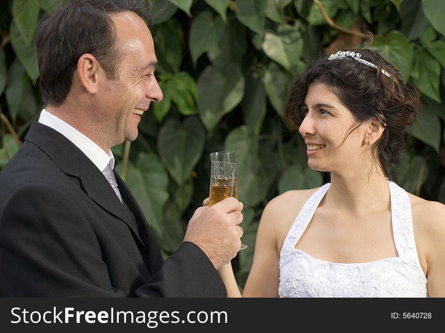 Bride and groom smile at each other as the toast with champagne. Horizontally framed photograph. Bride and groom smile at each other as the toast with champagne. Horizontally framed photograph.
