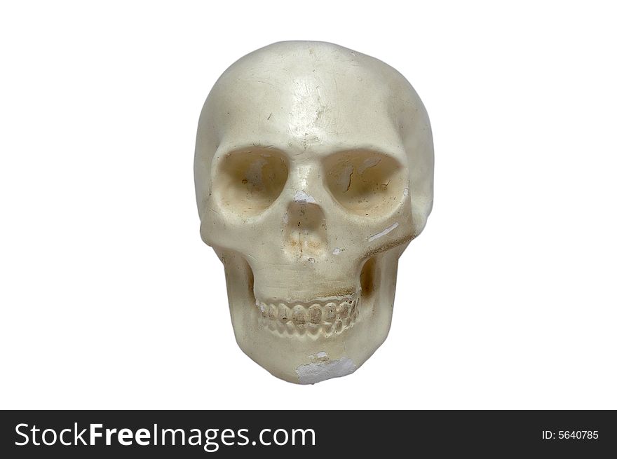 Plaster skull isolated over white