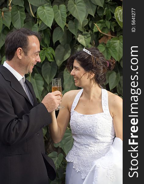 Bride and groom smile at each other as the toast with champagne. Vertically framed photograph. Bride and groom smile at each other as the toast with champagne. Vertically framed photograph.