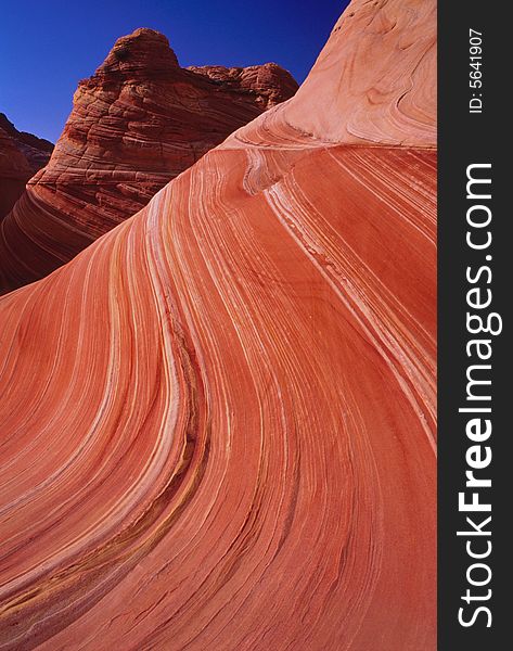 Stone Wave;  Coyote Butte North, Utah