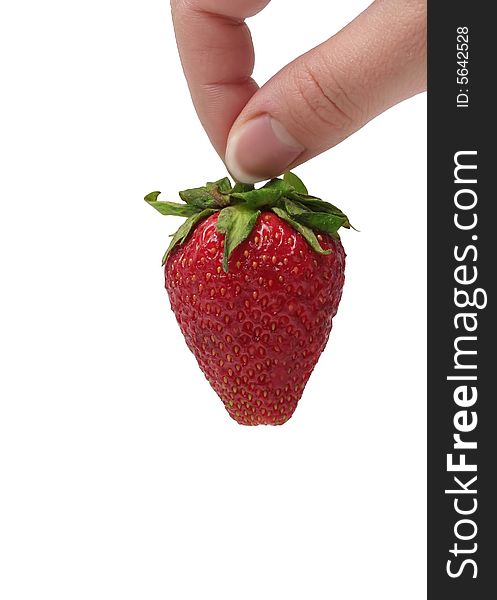 An appetizing strawberry in the woman's teasing hand at the white background. An appetizing strawberry in the woman's teasing hand at the white background