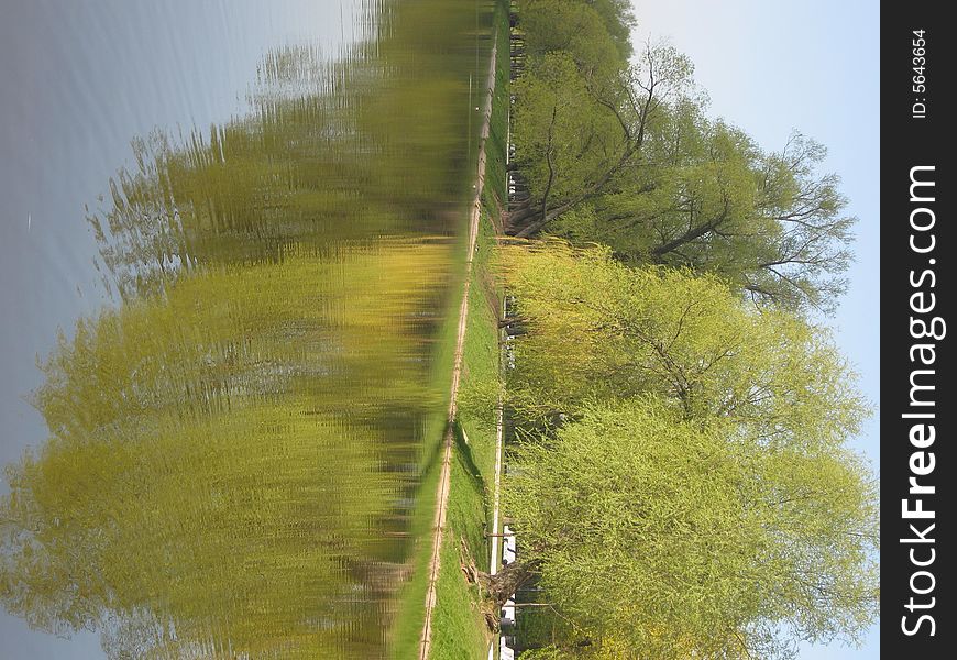 Willow trees on bank of lake, water, park, spring. Willow trees on bank of lake, water, park, spring.