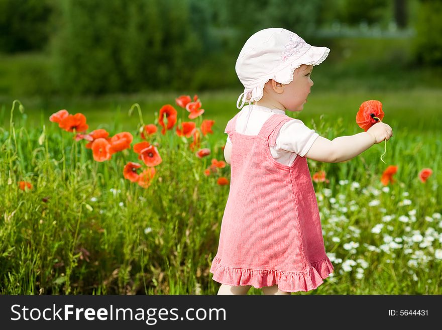 An image of baby-girl amongst field with poppies. An image of baby-girl amongst field with poppies