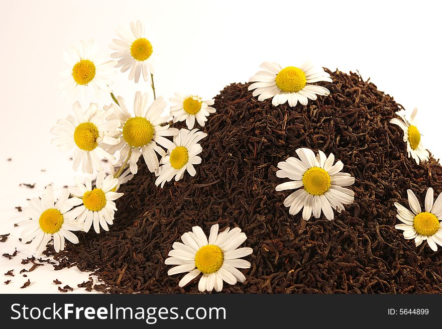 Heap Of Tea And Chamomile Blossoms