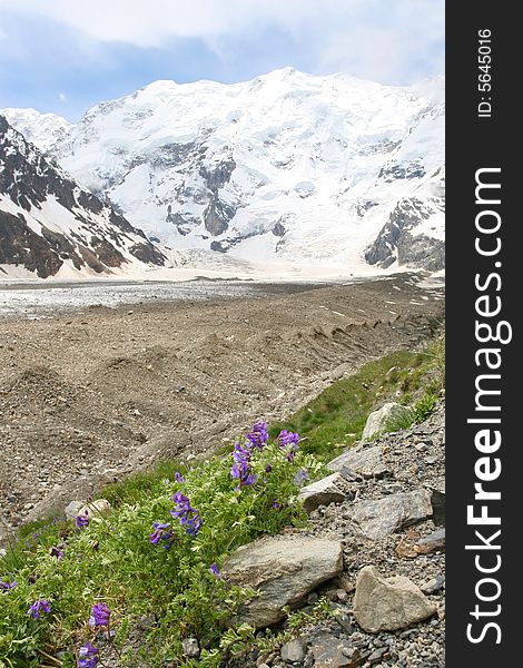 Caucasus mountain, snow top, bezengi