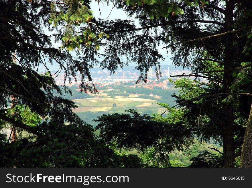 Aerial view through branches frame, rural landscape