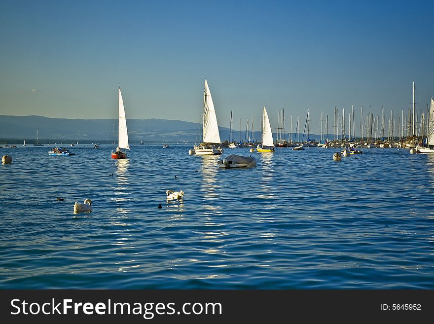 Yachts out on the sea under a clear blue sky. Yachts out on the sea under a clear blue sky.