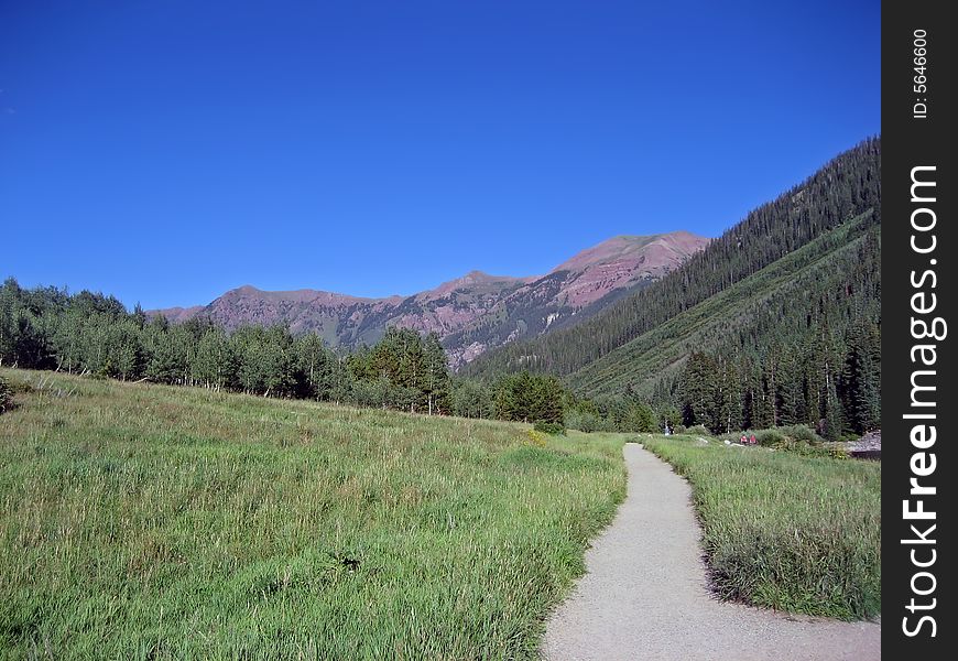 Path through a field in the Rocky Mountains. Path through a field in the Rocky Mountains.