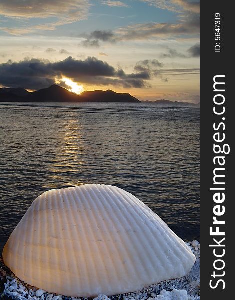 The unique moment when sea shell is lighted from inside by sunset. Can attract attention or memory to your sea vacation place. The unique moment when sea shell is lighted from inside by sunset. Can attract attention or memory to your sea vacation place.
