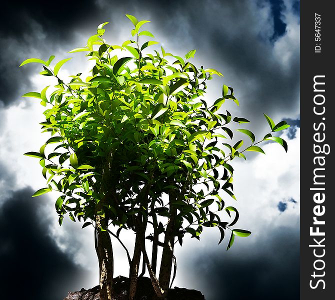 Illustration 3d of green plant with dark sky background
