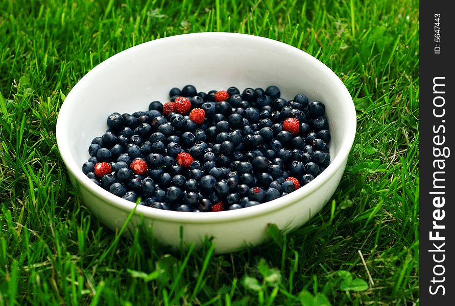 Fresh bilberries with forest strawberries