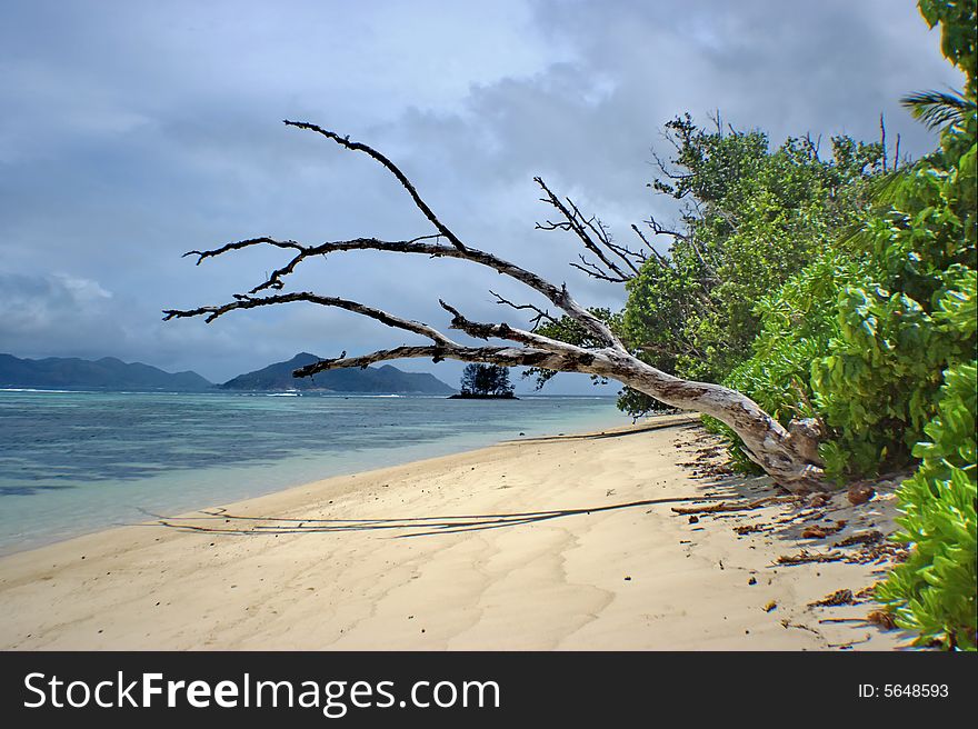 There is the wild coast of island with the tropical nature on the picture . . There is the wild coast of island with the tropical nature on the picture .