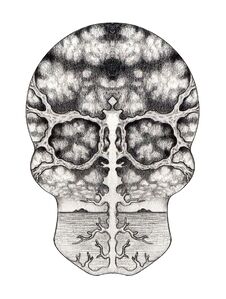 Skull Art Surreal. Royalty Free Stock Images