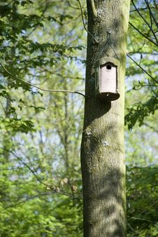 Bird House Stock Images Bird House Stock Images