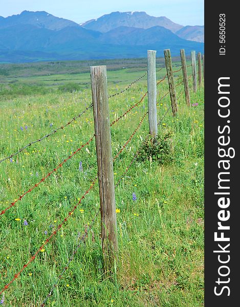 Fence in the southern alberta prairie, canada. Fence in the southern alberta prairie, canada