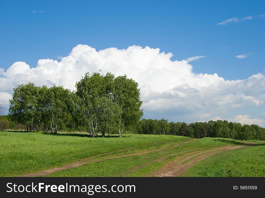 Birches on a green hill. Beautiful cloudscape above. Birches on a green hill. Beautiful cloudscape above.