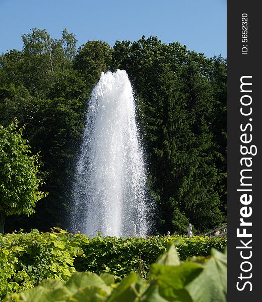 Motion fountain like progress, Petersburg peterhof. Motion fountain like progress, Petersburg peterhof