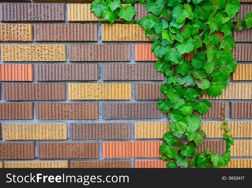 Brick wall photo showing the pattern details