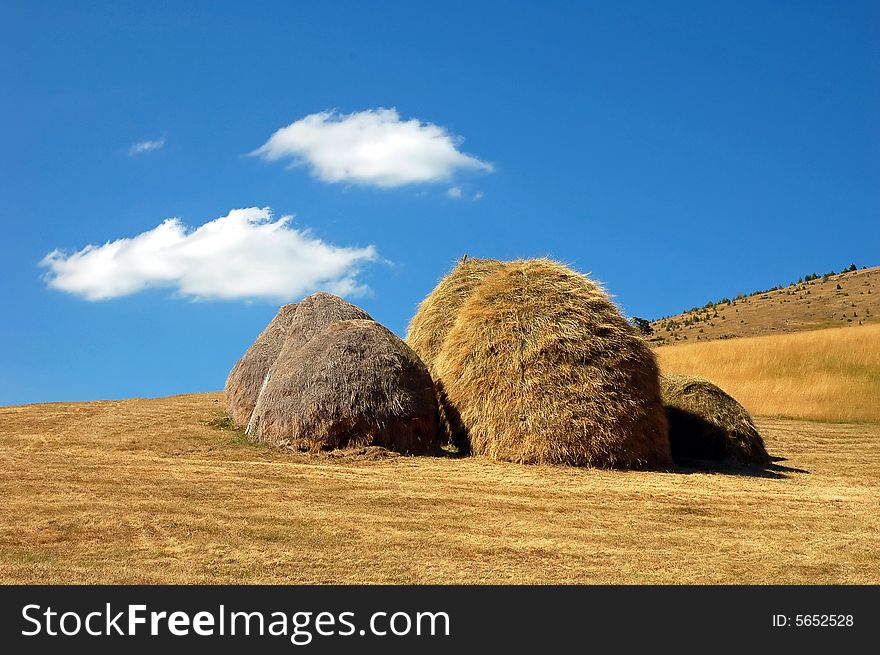 Several different colored haystacks on a mowed field. Several different colored haystacks on a mowed field