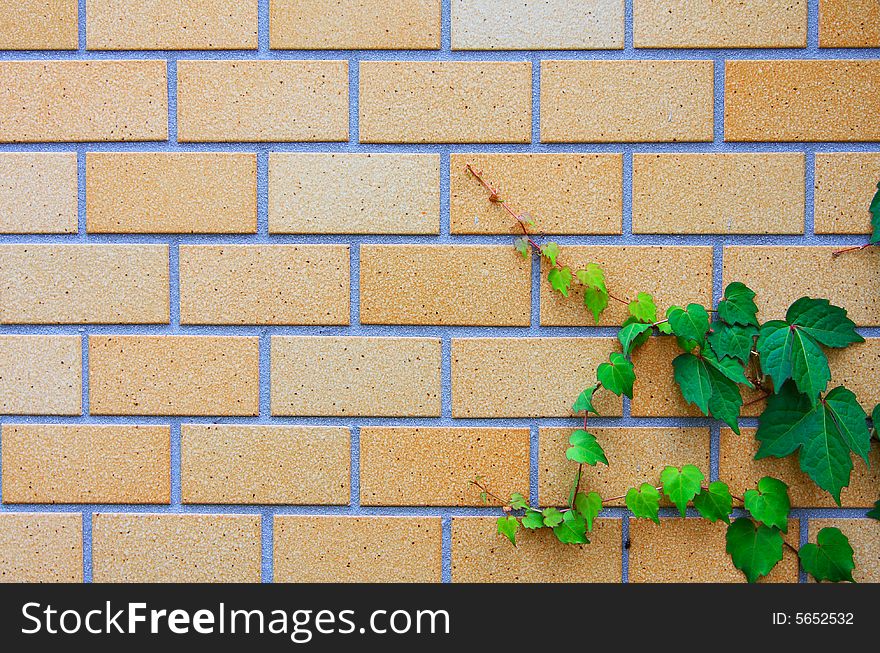 Brick wall photo showing the pattern details