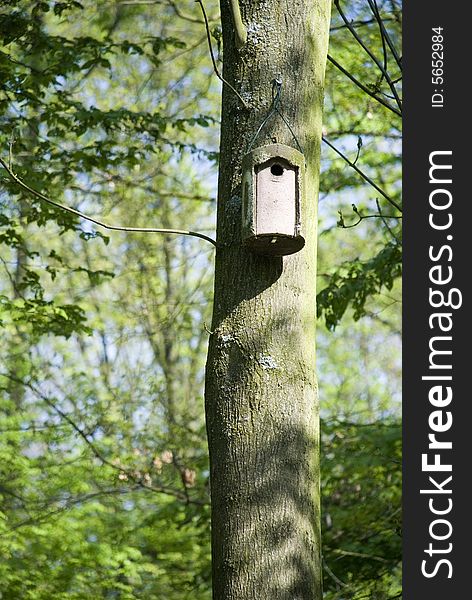 A bird house in the woods