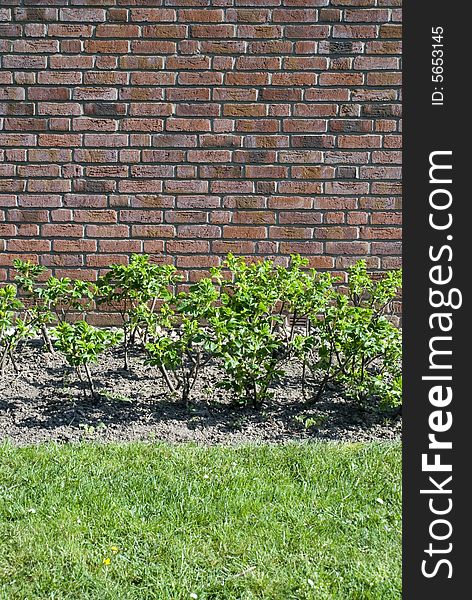 Brick wall detail with grass