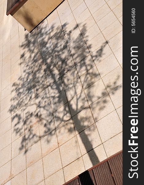 A shadow of a tree projected on flagstones in an urban environment. A shadow of a tree projected on flagstones in an urban environment