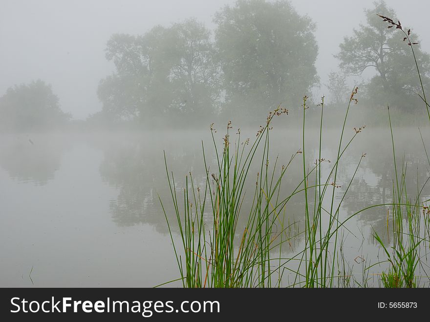 Morning Fog on the Pond of Darlintong Provincial Park. Morning Fog on the Pond of Darlintong Provincial Park