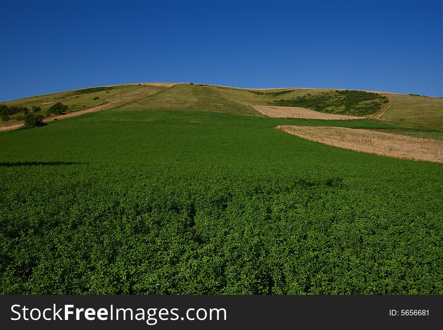 Grassland, umbria