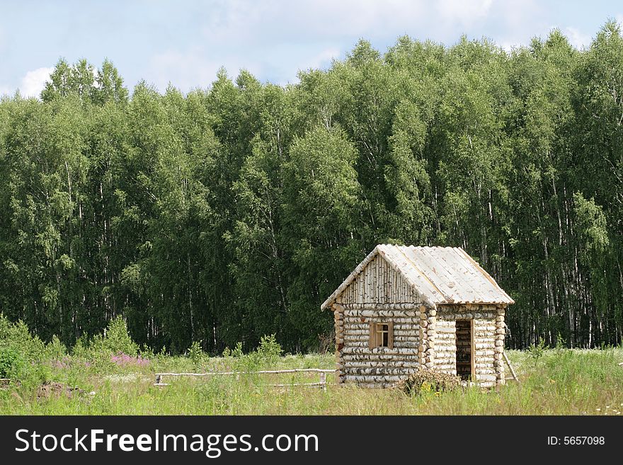 Birch small house on a marge of a wood