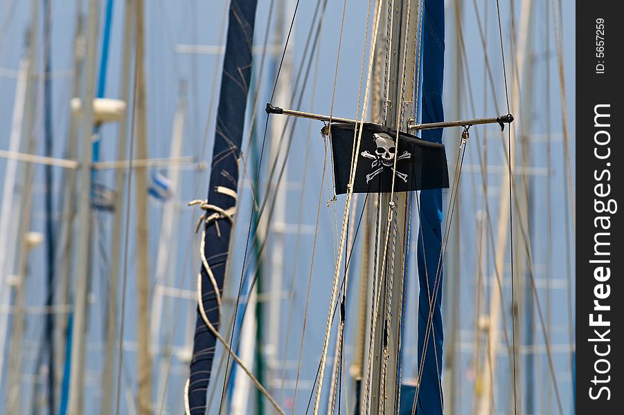 Pirate flag on rigging of yacht standing in marina