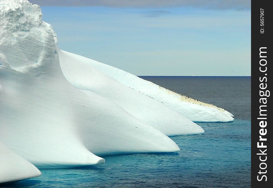 Antarctic penguin group and iceberg
