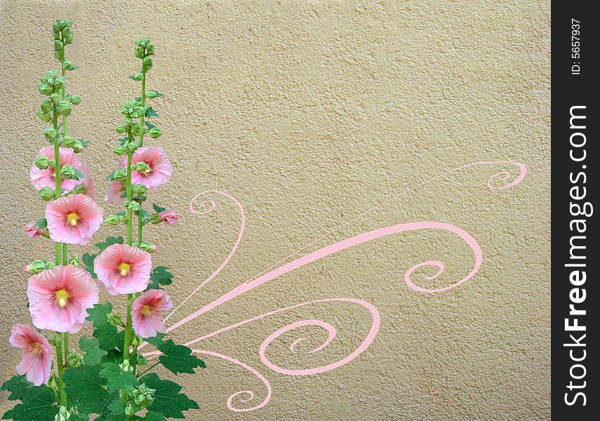 Floral Background With Mallow